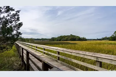 299 Ridley St, Longs, SC 29568 - Photo 31