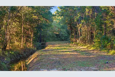 Tbd Mahalia Dr., Conway, SC 29527 - Photo 13