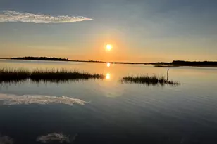 366 Pinehurst Ln, Pawleys Island, SC 29585 - Photo 41