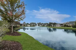 301 Nut Hatch Ln, Murrells Inlet, SC 29576 - Photo 35