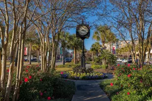 2595 Orion Loop, Myrtle Beach, SC 29577 - Photo 31