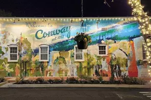 111 Westfield Cir, Conway, SC 29526 - Photo 25