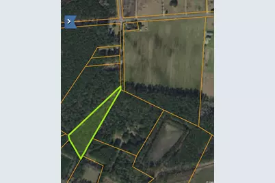 Tbd Gilbert Rd., Conway, SC 29526 - Photo 1