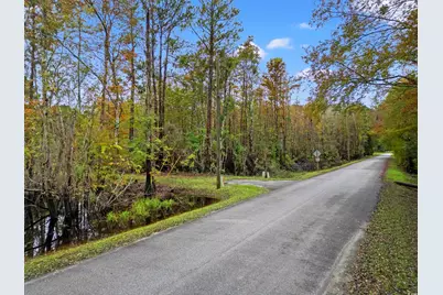 275 Waccamaw River Dr., Conway, SC 29526 - Photo 1