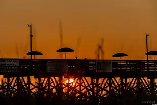 131 Cypress Ave, Garden City Beach, SC 29576 - Photo 19