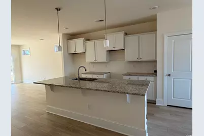 209 Blue Wing Court, Conway, SC 29527 - Photo 3