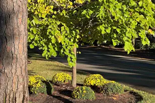 415 Ocean Creek Dr, Myrtle Beach, SC 29572 - Photo 15