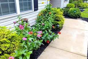 3441 Cannon Pond Rd, Conway, SC 29527 - Photo 31