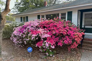 519 32nd Ave N, Myrtle Beach, SC 29577 - Photo 1