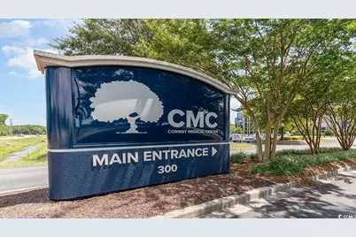 327 Black Gum Dr., Conway, SC 29527 - Photo 39