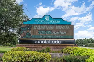 327 Black Gum Dr, Conway, SC 29527 - Photo 37