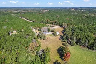 2021 Walter Rd, Galivants Ferry, SC 29544 - Photo 39