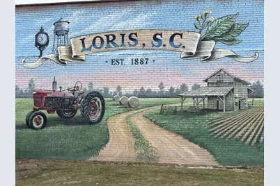 3860 Richardson St., Loris, SC 29569 - Photo 29