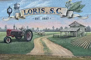 3860 Richardson St, Loris, SC 29569 - Photo 29