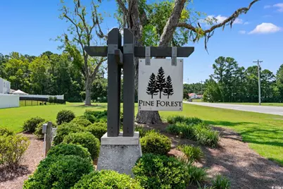 375 Spruce Pine Way, Conway, SC 29526 - Photo 39