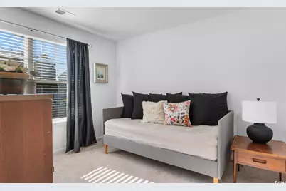 375 Spruce Pine Way, Conway, SC 29526 - Photo 25