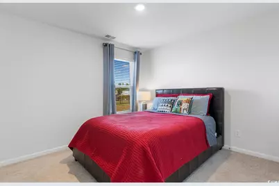 375 Spruce Pine Way, Conway, SC 29526 - Photo 21