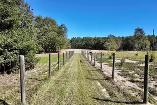 2338 Etters Ln, Cassatt, SC 29032 - Photo 25