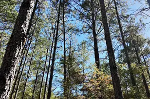 2338 Etters Ln, Cassatt, SC 29032 - Photo 39