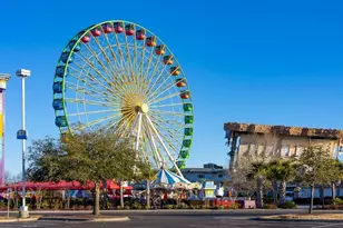 125 Teddy Bear Circle, Conway, SC 29526 - Photo 39