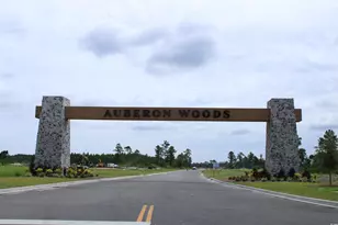 5081 Yellowstone Dr, Conway, SC 29526 - Photo 25