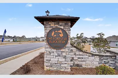 135 Honey Jar Way, Longs, SC 29568 - Photo 33