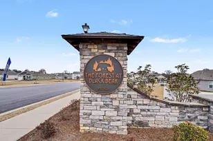 135 Honey Jar Wy, Longs, SC 29568 - Photo 33