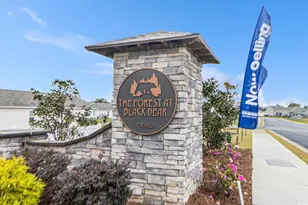 135 Honey Jar Wy, Longs, SC 29568 - Photo 37