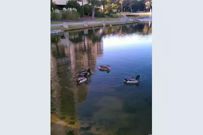 100 Ocean Creek Dr. #M-3, Myrtle Beach, SC 29572 - Photo 31