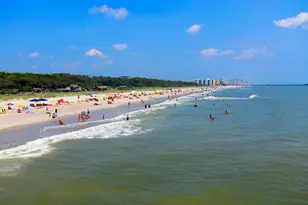 539 Redwood Ave, Myrtle Beach, SC 29577 - Photo 39