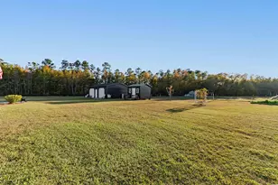 5200 Joyner Swamp Rd, Galivants Ferry, SC 29544 - Photo 35