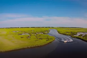 15 Pinckney Rd, Georgetown, SC 29440 - Photo 43