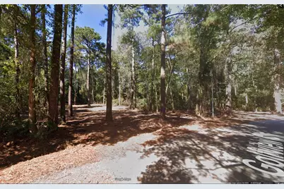 Tbd Golfview Circle, Johnsonville, SC 29555 - Photo 1