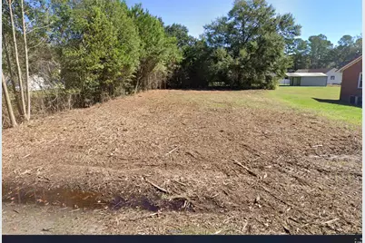 514 Hickory Ave., Johnsonville, SC 29555 - Photo 1