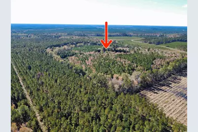 3264 Ten Acre Rd., Andrews, SC 29510 - Photo 35