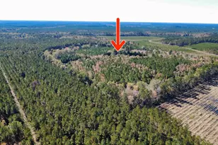 3264 10 Acre Rd, Andrews, SC 29510 - Photo 35