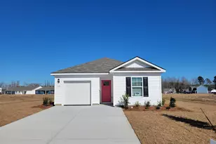 310 Black Gum Dr, Conway, SC 29527 - Photo 1