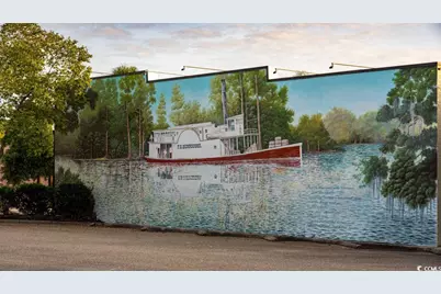 318 Black Gum Dr., Conway, SC 29527 - Photo 27