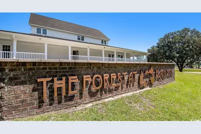 284 Long Beard Way, Longs, SC 29568 - Photo 23