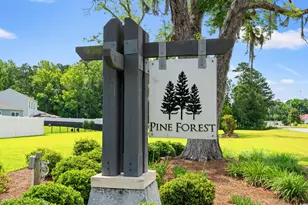 518 Sugar Pne Dr, Conway, SC 29526 - Photo 31