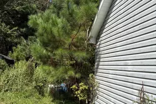 4046 Dewitt Rd, Longs, SC 29568 - Photo 3