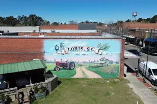 291 Long Beard Way, Longs, SC 29568 - Photo 19