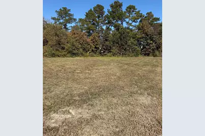 111 Quigley Pl, Aynor, SC 29511 - Photo 1