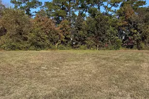 111 Quigley Pl, Aynor, SC 29511 - Photo 1