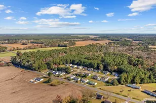 2902 Silverleaf Cir, Loris, SC 29569 - Photo 33