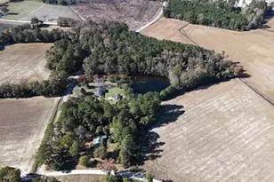 6800 Black Creek Rd, Nichols, SC 29581 - Photo 11