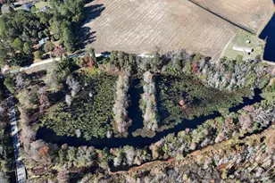 6800 Black Creek Rd, Nichols, SC 29581 - Photo 9