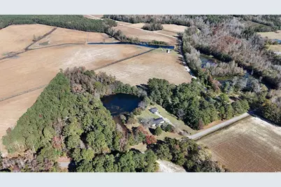 6800 Black Creek Rd., Nichols, SC 29581 - Photo 5