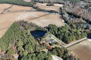 6800 Black Creek Rd, Nichols, SC 29581 - Photo 5