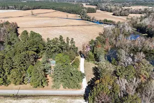 6800 Black Creek Rd, Nichols, SC 29581 - Photo 3